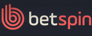 Picture of Betspins Casino logo